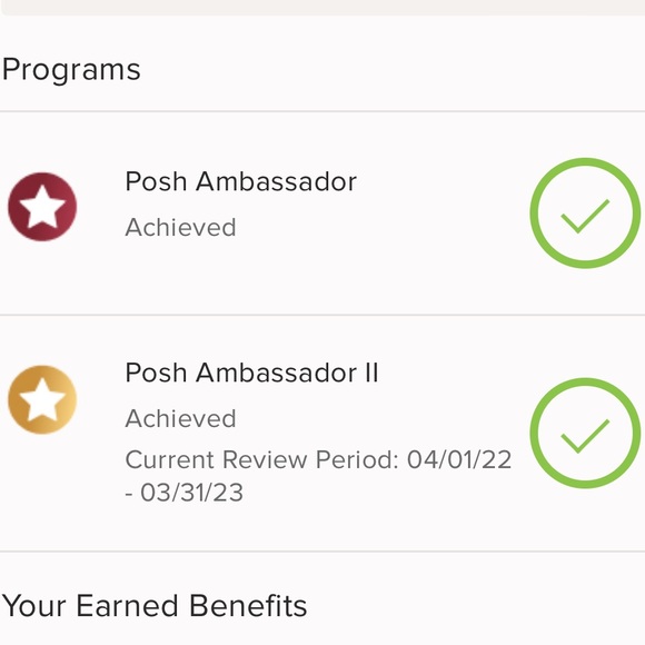 🎉AMBASSADOR II 🎉 - Picture 3 of 5